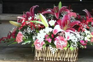 Apollo Florist