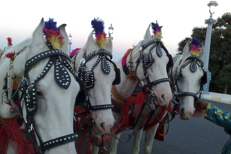 Decorated horse