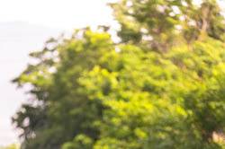 Wedding photograpy