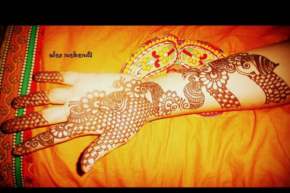 Alek Mehendi And Beauty Tips