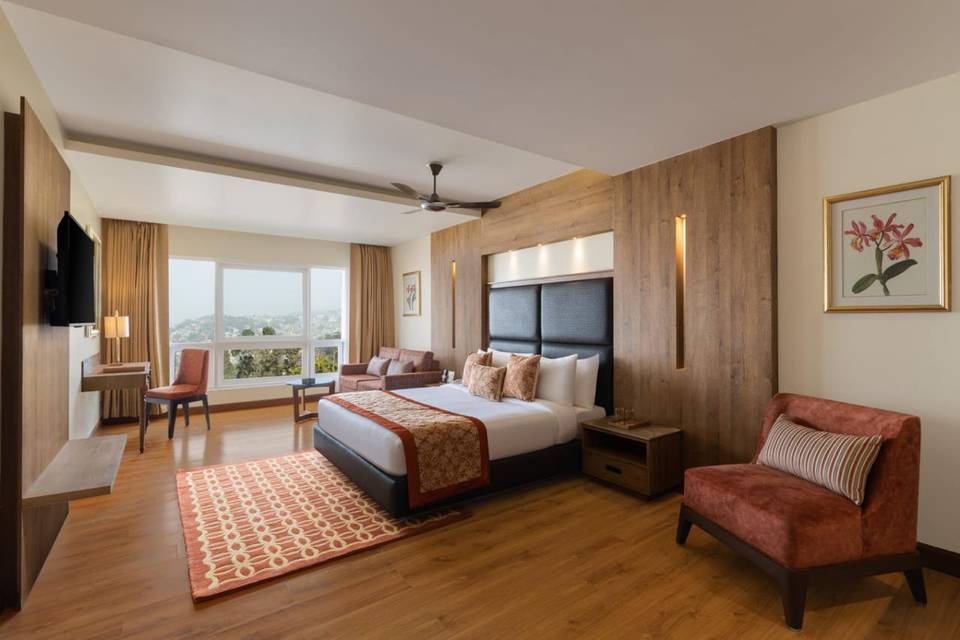Valley View Room