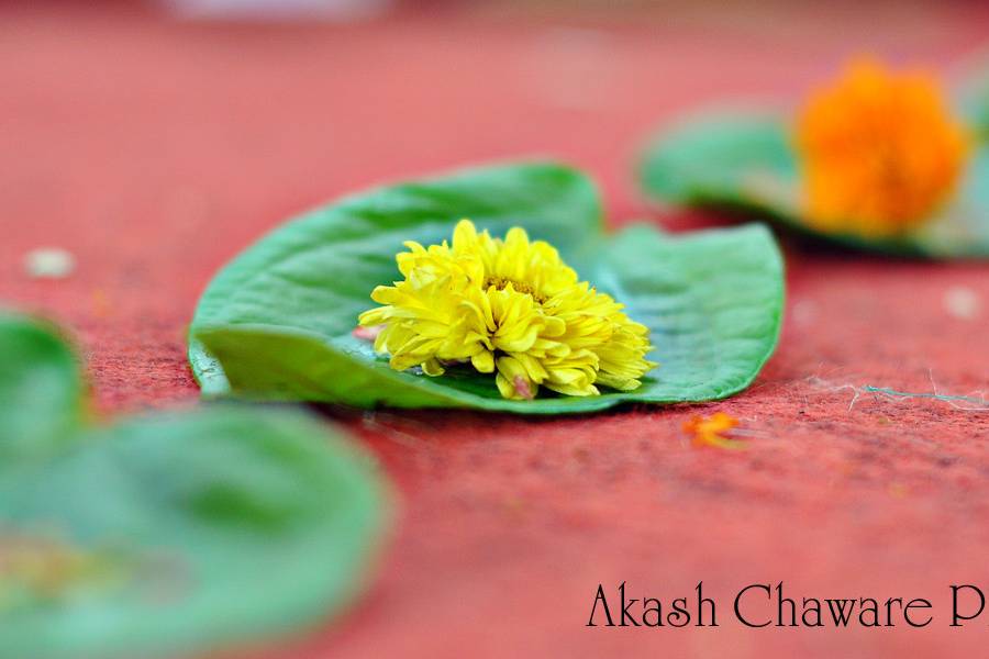 Akash Chaware Photography