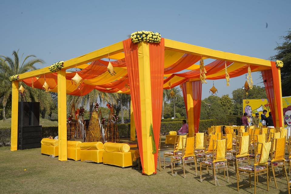 Haldi Setup