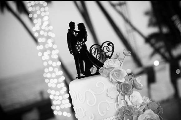 Wedding photography- oscar vaz photography- Wedding shots155