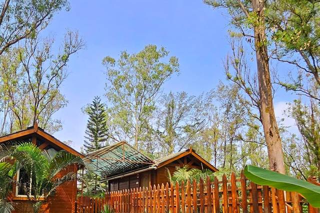 The Jungle Resort Amba