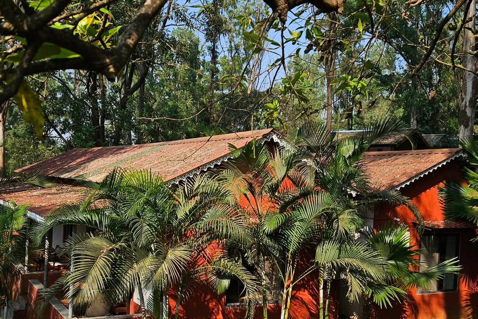 The Jungle Resort Amba portfolio