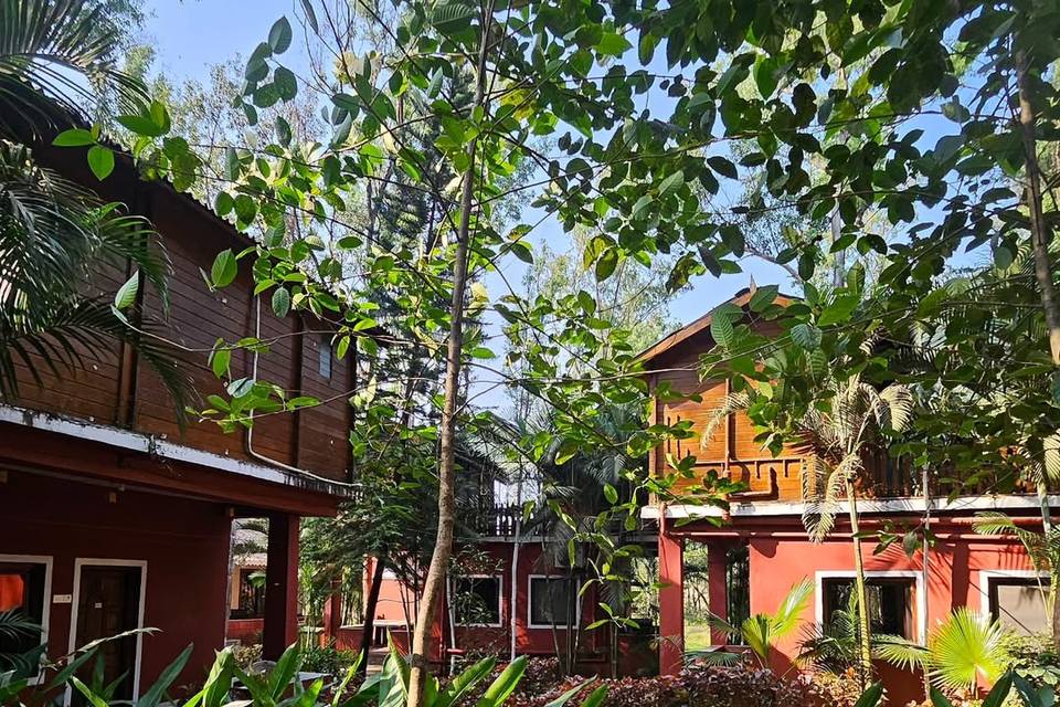 The Jungle Resort Amba portfolio