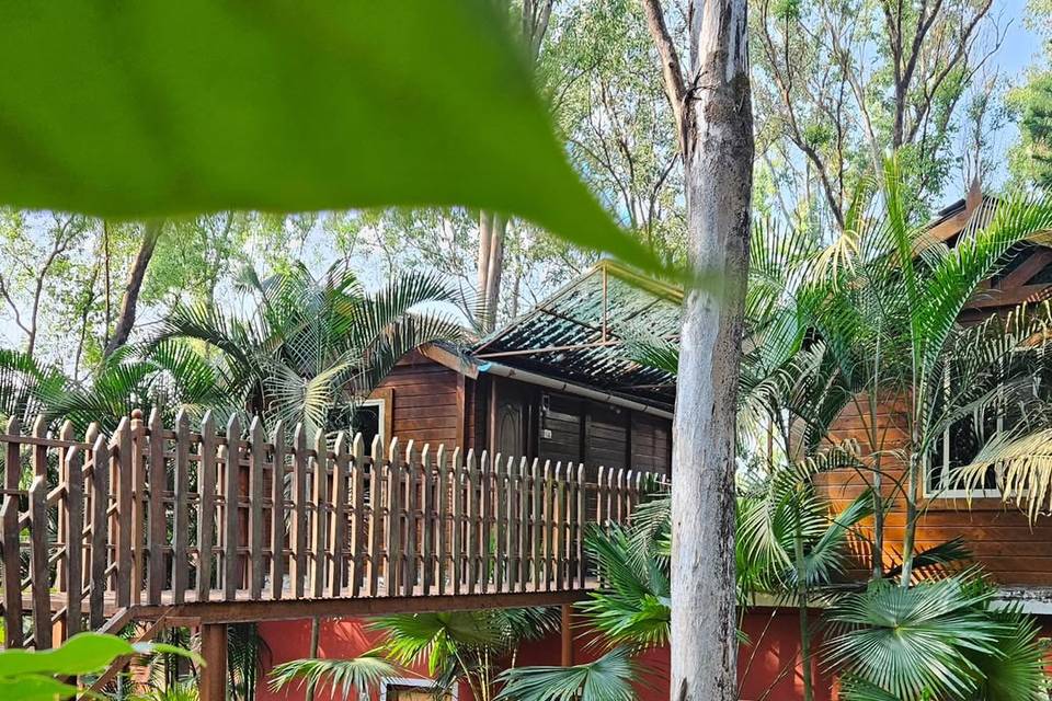 Accommodation