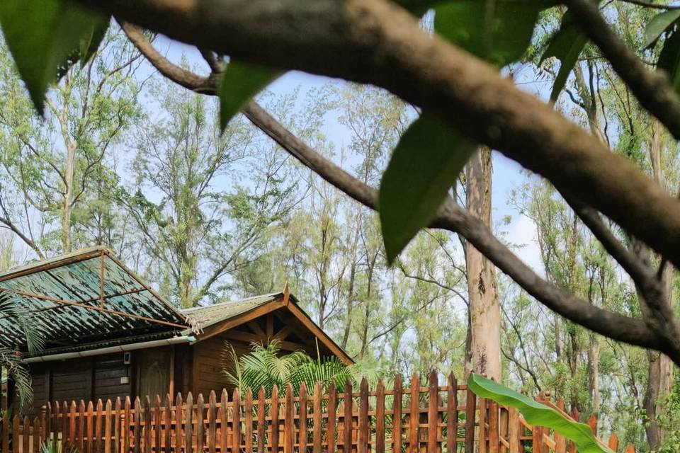 The Jungle Resort Amba portfolio