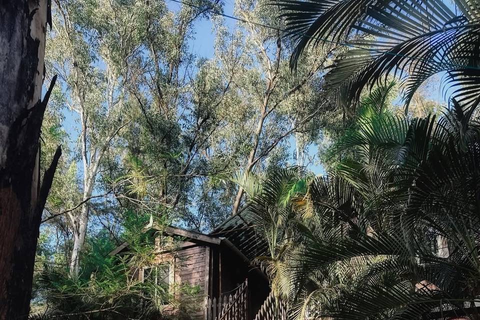 The Jungle Resort Amba portfolio
