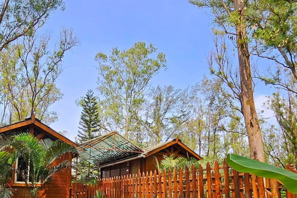 The Jungle Resort Amba portfolio
