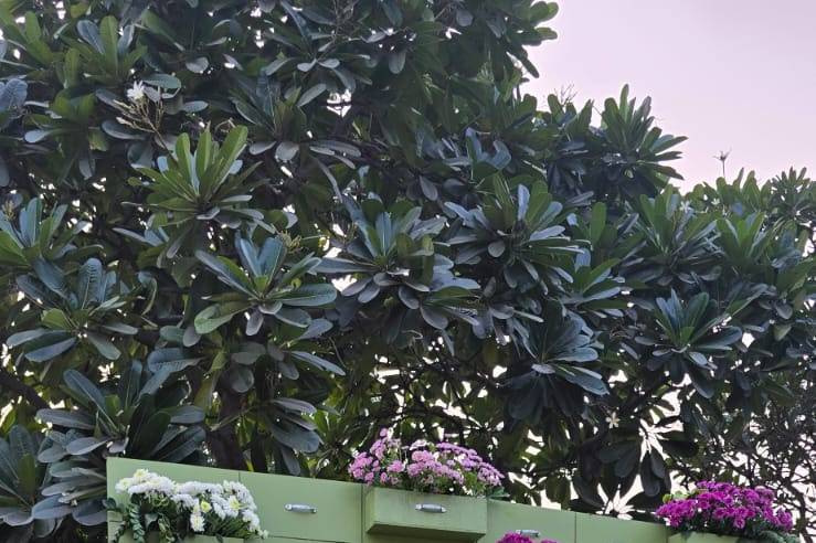 KK Royal Hotel & Convention Ce