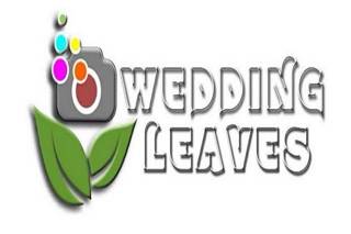 Wedding leaves logo