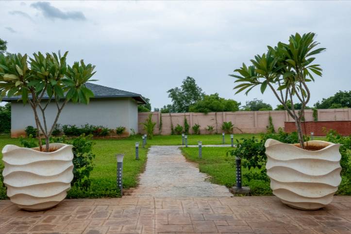 Lawn area