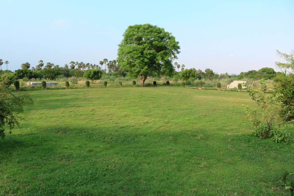 Anand Farms, Chennai