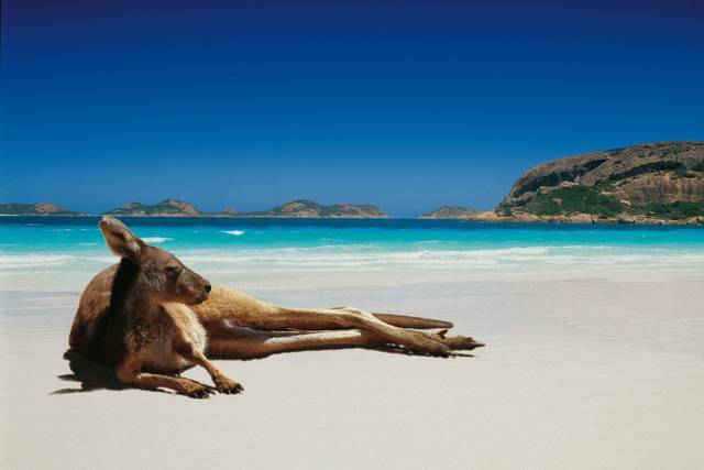 Honeymoon destination