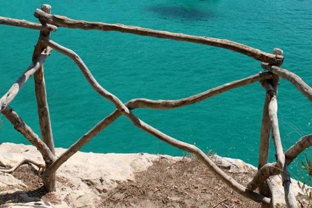 Kingdom of dream holidays