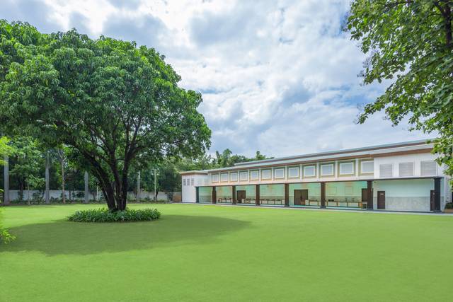 Lawn area