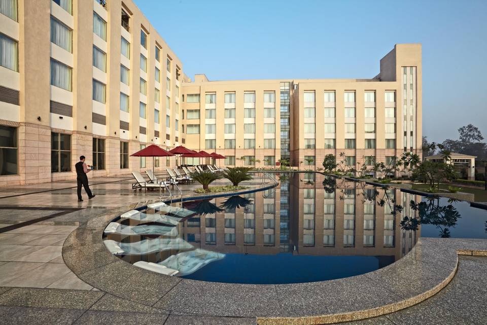 Swimming Pool View