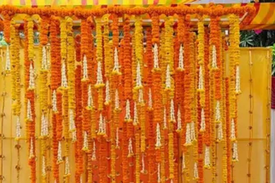 Haldi setup