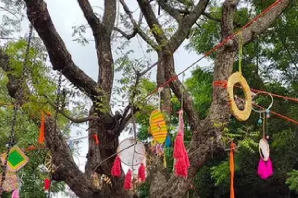 Haldi setup