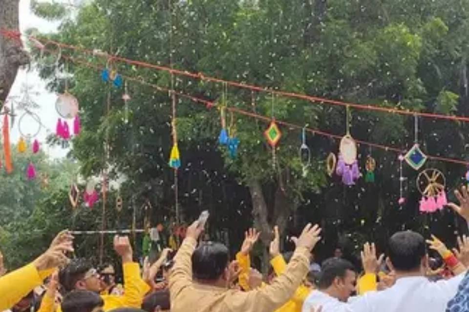 Haldi setup