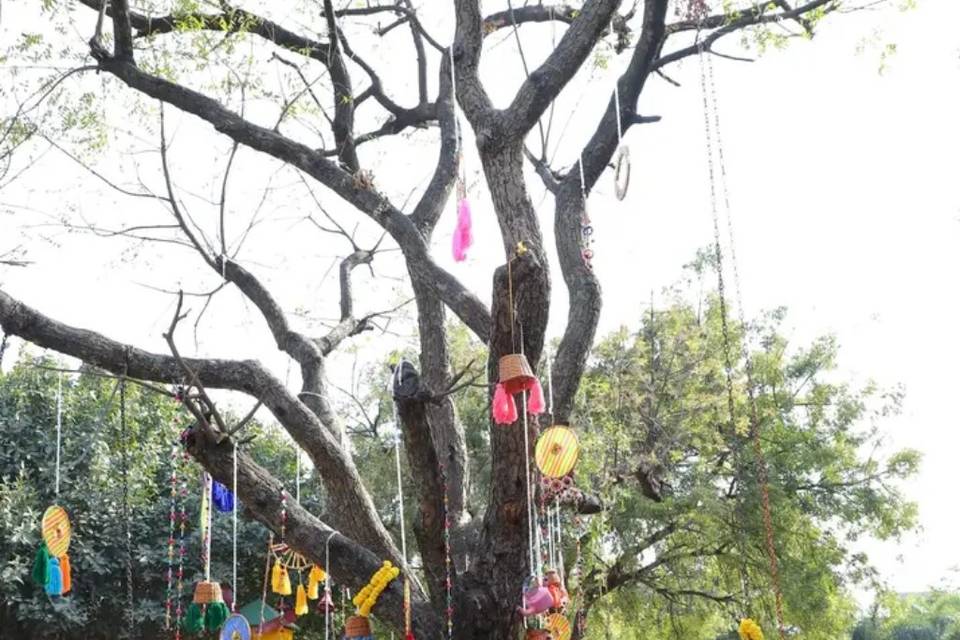 Haldi setup