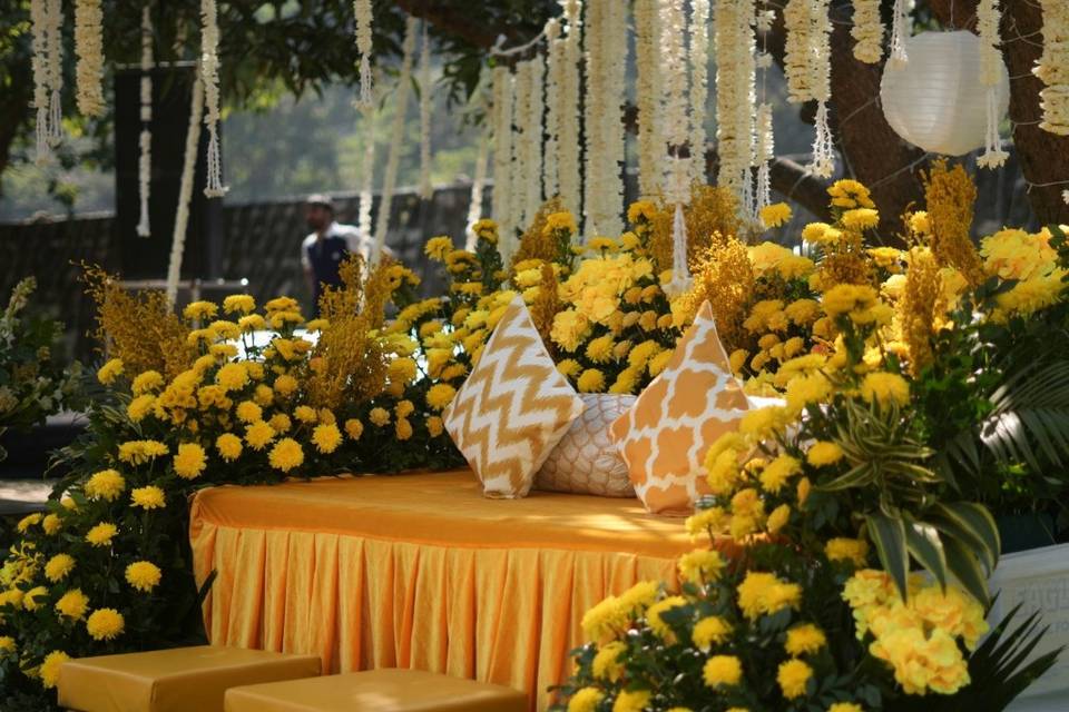 Haldi