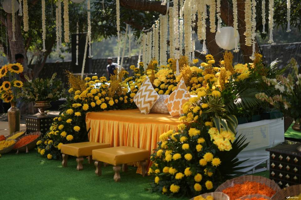 Haldi