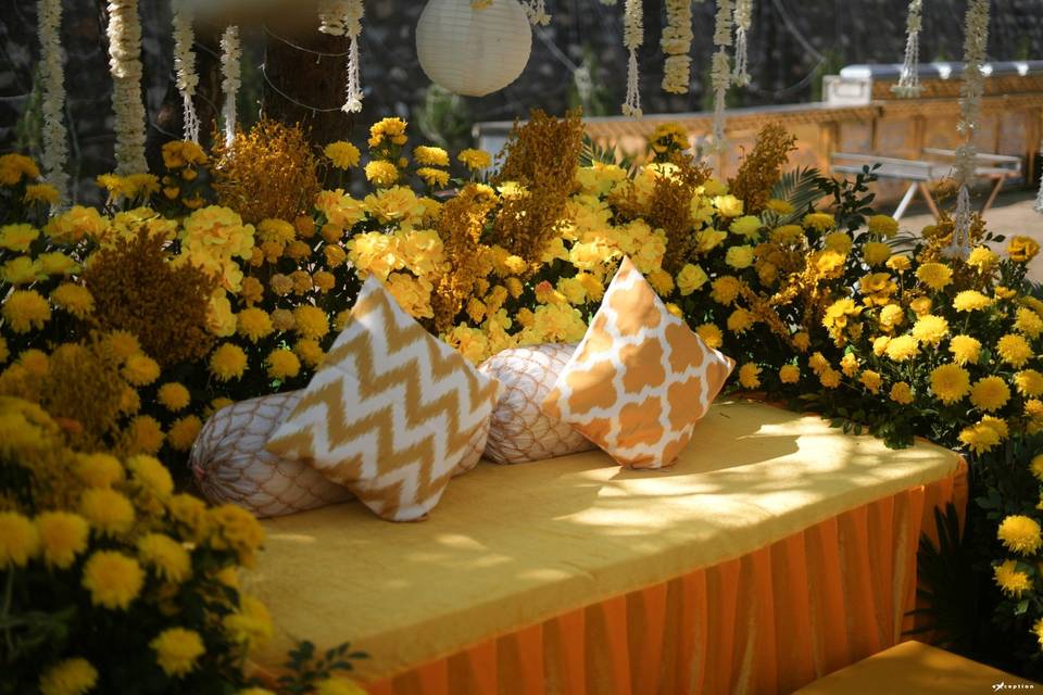 Haldi