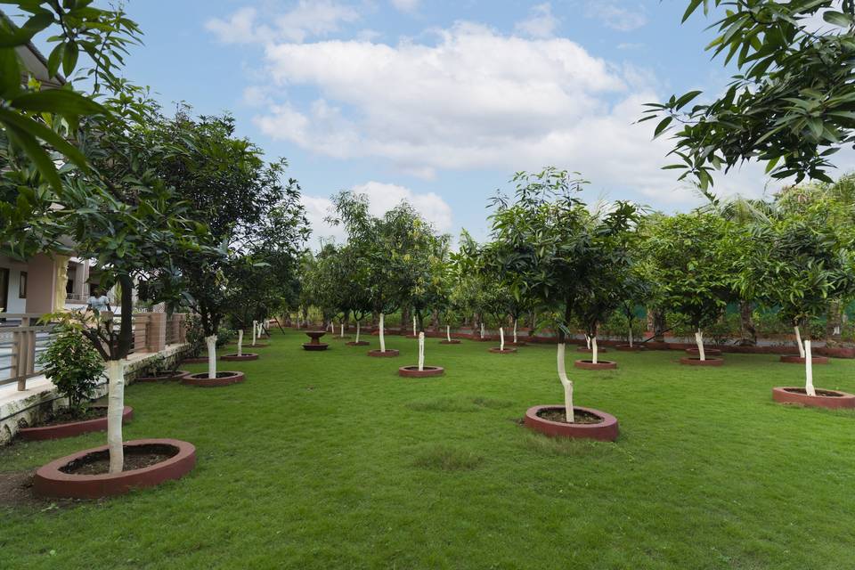 Lawn area