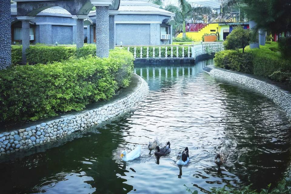 Cottage Water View