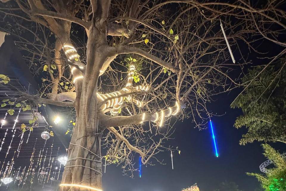 Wedding decor