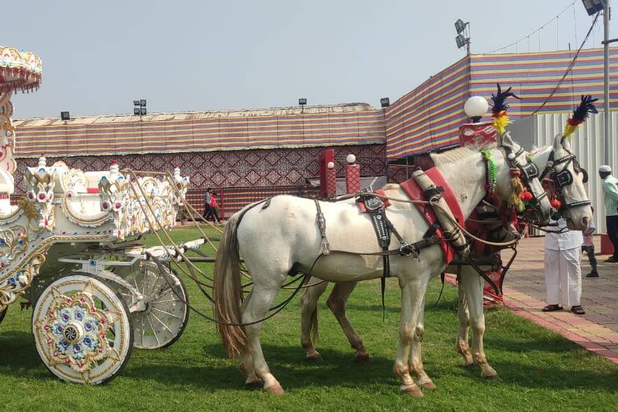 Wedding transportation