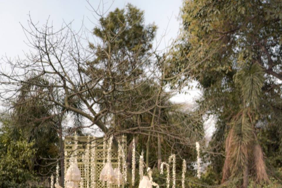 Wedding Photography