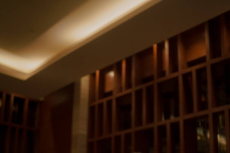 Engagement Photography