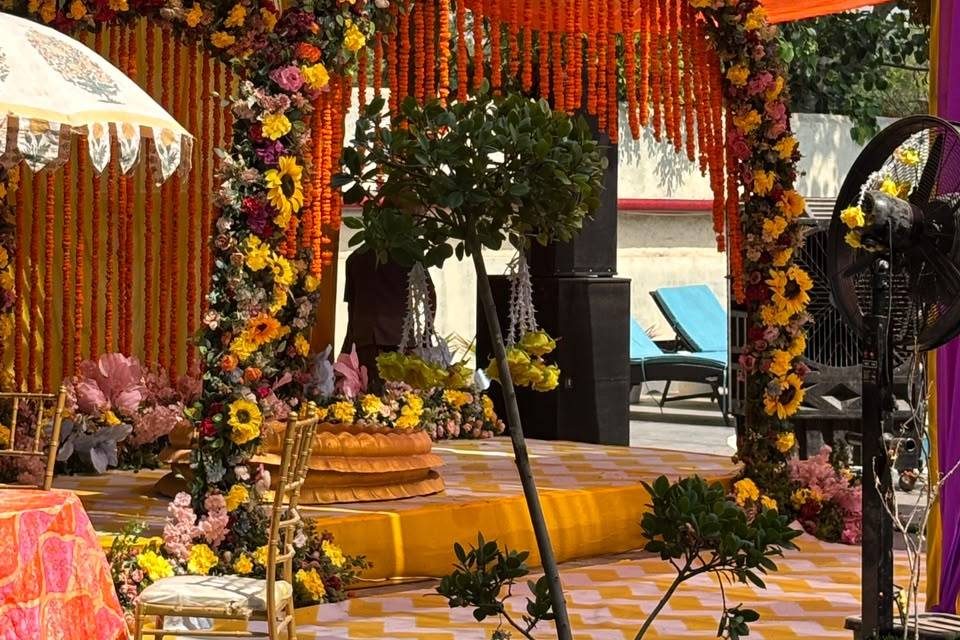 Multi Colour Haldi