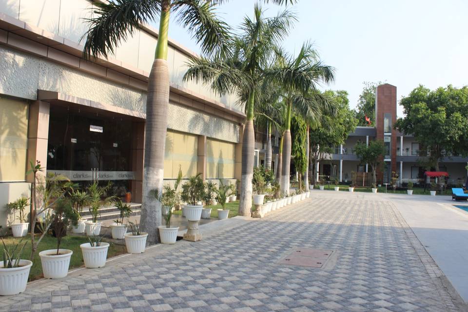 Lawn area