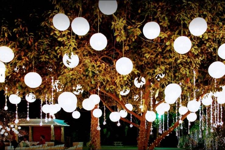 Outdoor Tree lighting Decor