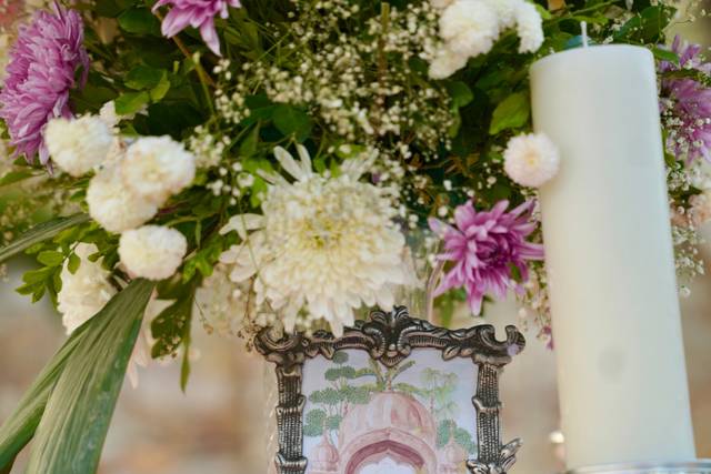Vivid Vows By Tanya portfolio