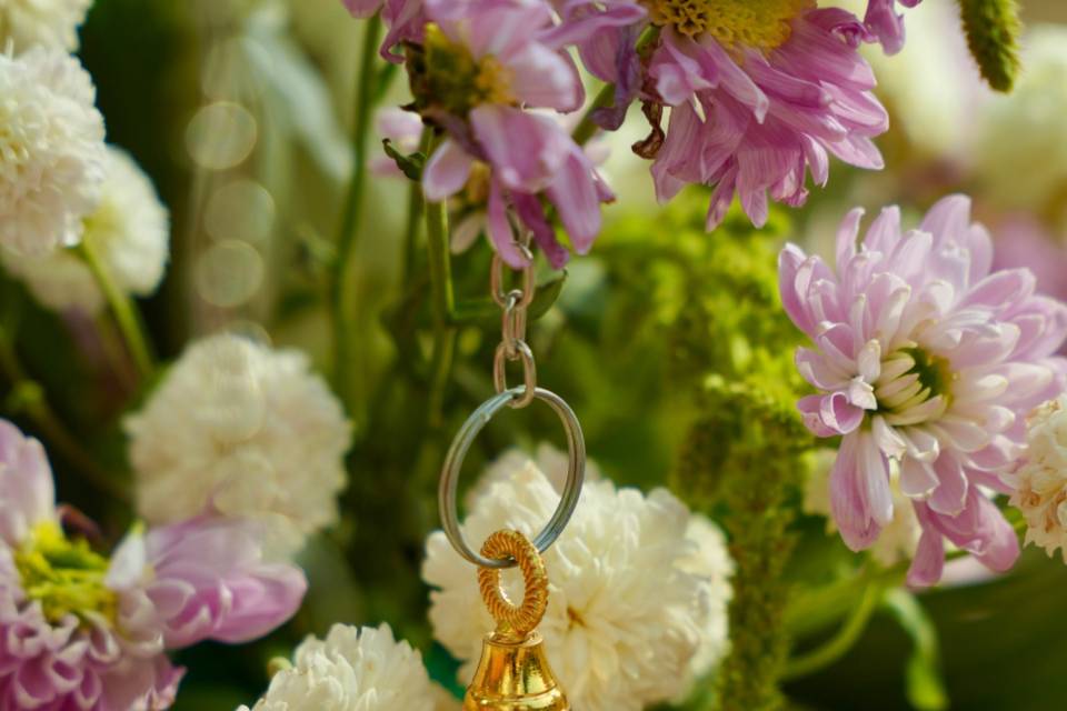 Vivid Vows By Tanya portfolio