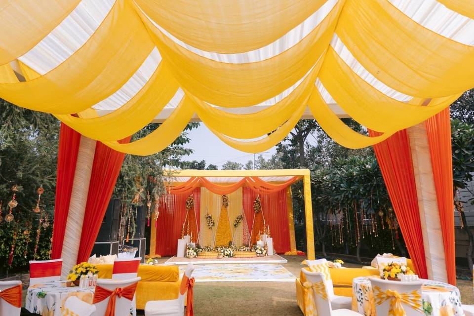 Vivid Vows By Tanya portfolio