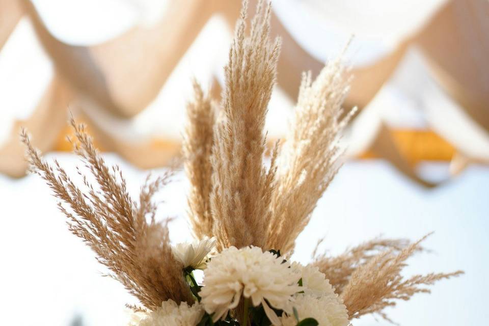 Theweddingsagaofficial_1720866627_3411198968500093209_58090060924