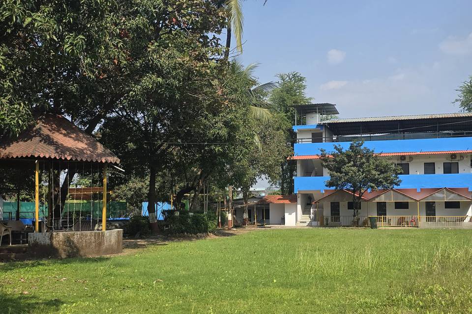 Lawn area