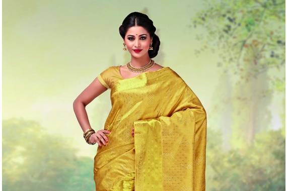 Arni Silk Saree (adi77777)