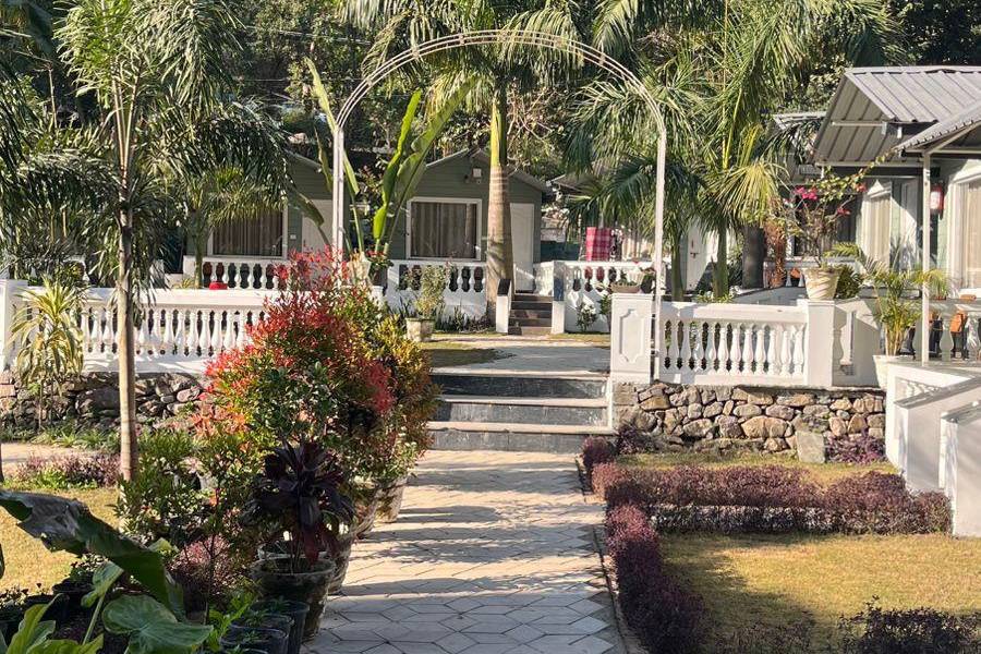 Lawn area