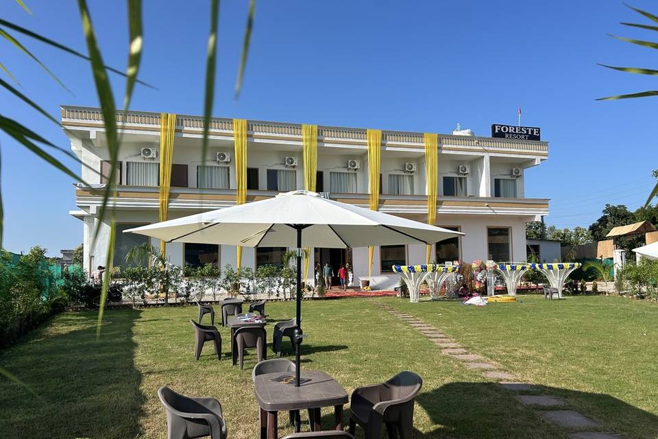 Lawn area