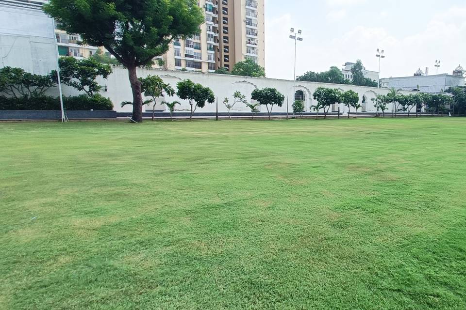 Lawn Area