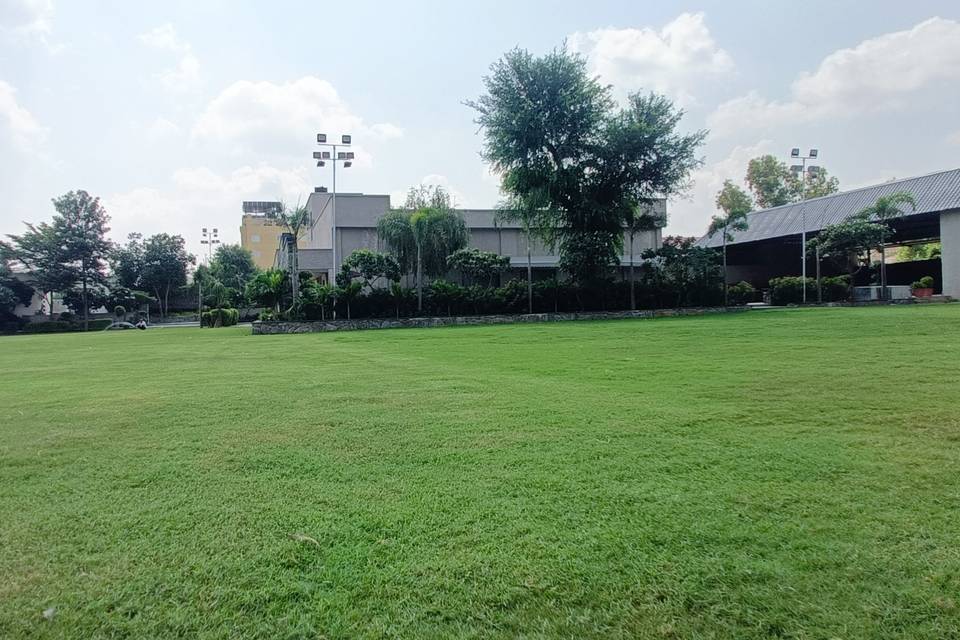 Lawn Area