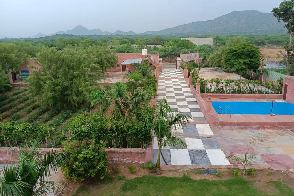 Lawn area